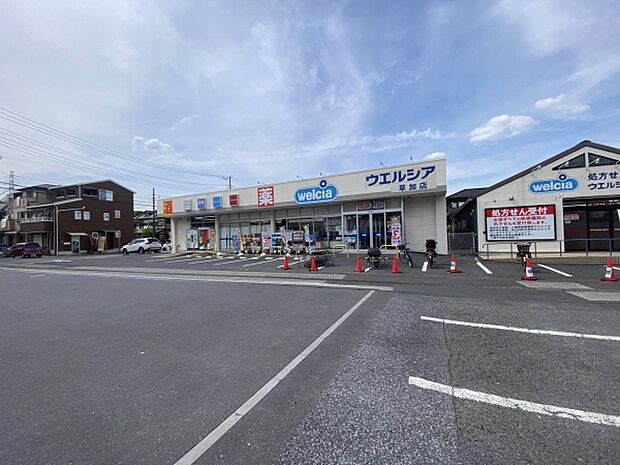 ウエルシア草加店まで350m、ウエルシア草加店350m(徒歩5分)