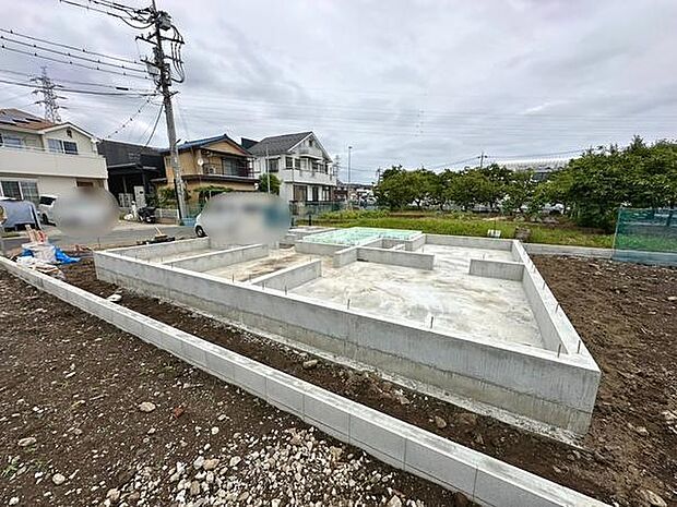 5/23撮影