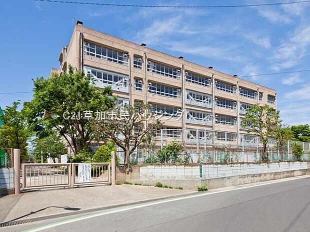 新田中学校まで800m、新田中学校800m(徒歩10分)