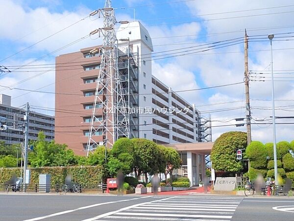 周辺には緑が多く、伸びやかな雰囲気が漂います。歩道や横断歩道が近接し交通利便性も良好。敷地内の植栽も丁寧に管理され、安全性に配慮した設計となっています。