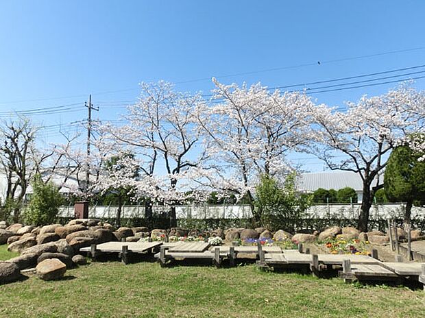 青柳公園まで750m、青柳公園750m(徒歩10分)