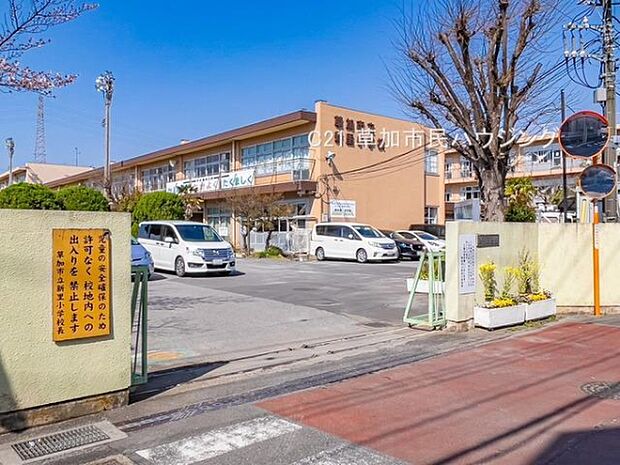 新里小学校まで800m、新里小学校800m(徒歩11分)