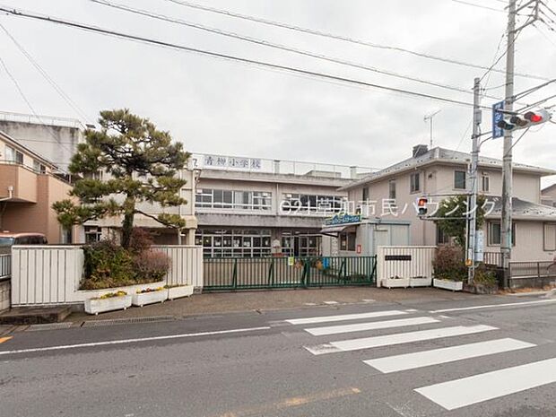 青柳小学校まで450m、青柳小学校450m（徒歩6分）