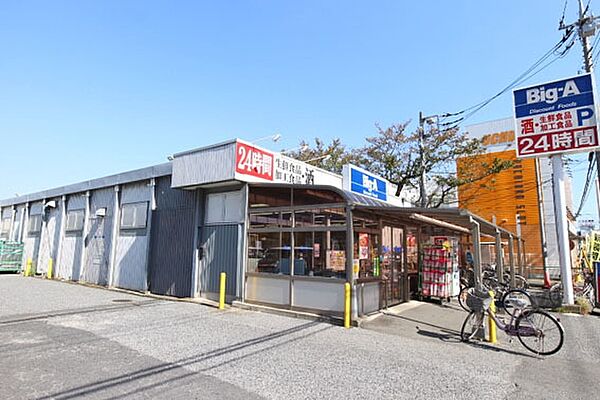 ビッグエー草加新田店まで900m、ビッグエー草加新田店900m(徒歩12分)