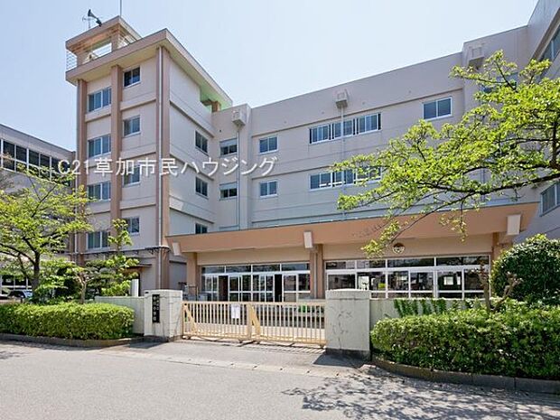 中川小学校まで225m、中川小学校225m(徒歩3分）
