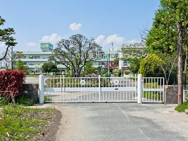 八條小学校まで600m、八條小学校600m(徒歩8分)