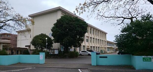 宮崎市立檍小学校まで999m