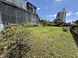 宮崎県宮崎市大坪町寺山大迫3172-1