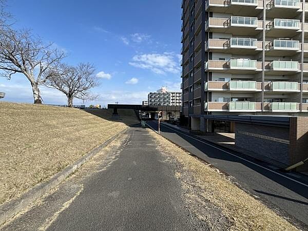 晴れた日には河川敷でのお散歩を楽しめます♪