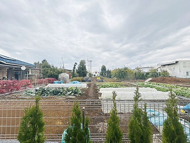 窓からの眺望です。実際に現地で眺望もご確認ください。 