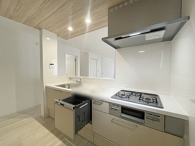 毎日の家事をサポートしてくれる食洗器も標準に装備。ちょっと嬉しい設備です 