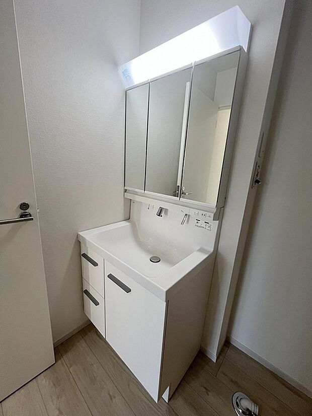 使いやすいタイプの洗面化粧台のあるランドリースペース