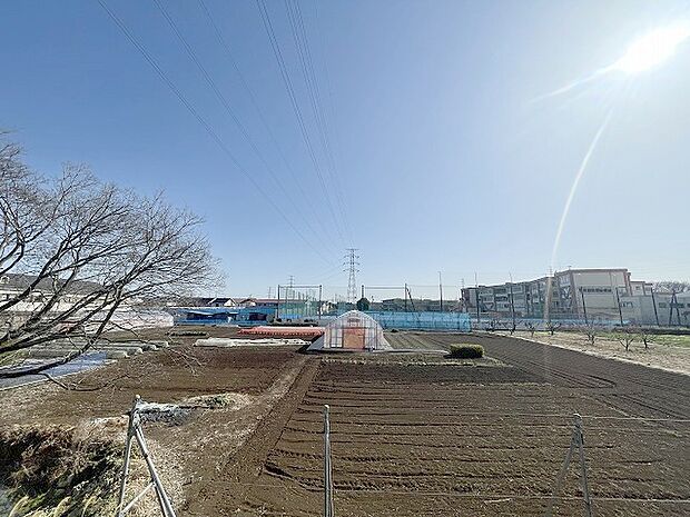 窓からの眺望です。実際に現地で眺望もご確認ください。