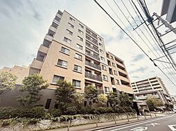 アデニウム吉祥寺