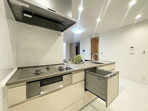 毎日の家事をサポートしてくれる食洗器も標準に装備。ちょっと嬉しい設備です 