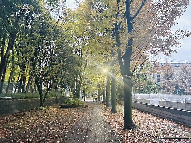 自然に恵まれた豊かな緑と美しいロケーションが特徴です。穏やかな暮らしやリラックスした健康的な生活が送れそう。日々の喧騒から離れ、自然に囲まれた癒しの場所はいかがでしょうか。