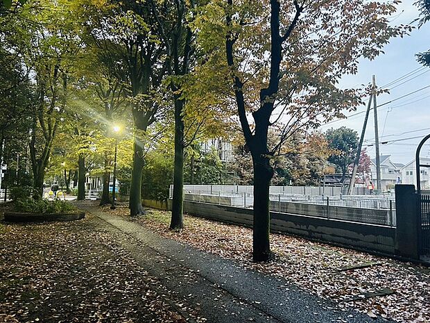 自然に恵まれた豊かな緑と美しいロケーションが特徴です。穏やかな暮らしやリラックスした健康的な生活が送れそう。日々の喧騒から離れ、自然に囲まれた癒しの場所はいかがでしょうか。
