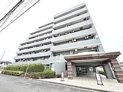 コスモ立川サングレイス