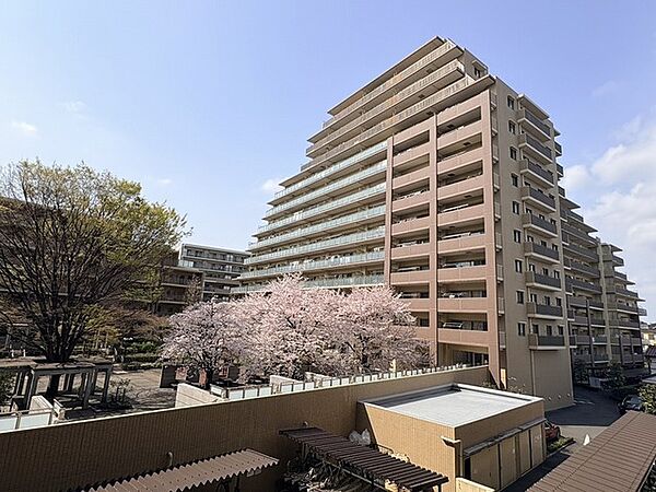 外観：313004678955