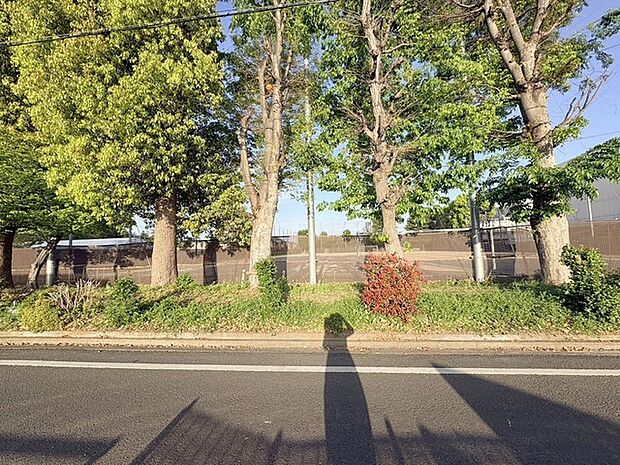 自然に恵まれた豊かな緑と美しいロケーションが特徴です。穏やかな暮らしやリラックスした健康的な生活が送れそう。日々の喧騒から離れ、自然に囲まれた癒しの場所はいかがでしょうか。 