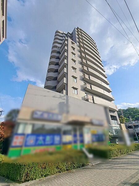 外観：313004722686