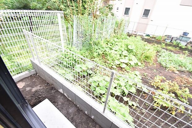 窓の外に広がる緑豊かな景色が、日常に穏やかな安らぎと季節の移ろいを感じさせてくれます。