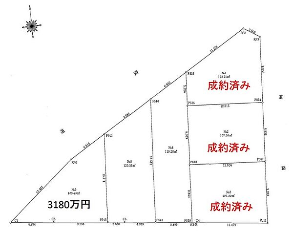 区画図：313004860603