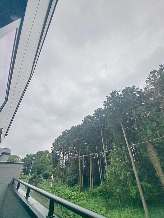 窓からの眺望です。実際に現地で眺望もご確認ください。