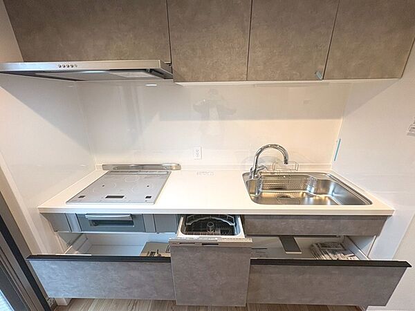 毎日の家事をサポートしてくれる食洗器も標準に装備。ちょっと嬉しい設備です