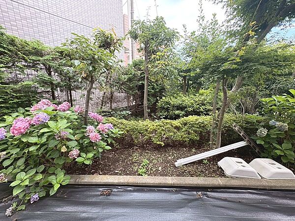 窓からの眺望です。実際に現地で眺望もご確認ください。