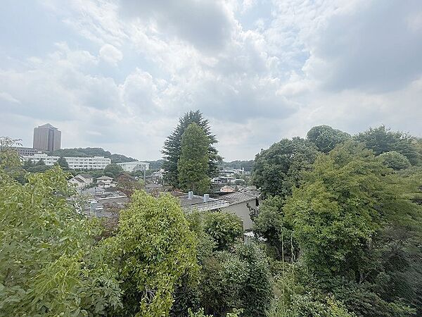 窓からの眺望です。実際に現地で眺望もご確認ください。