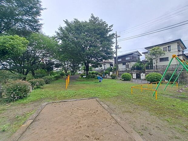 ふじみ公園(11m)