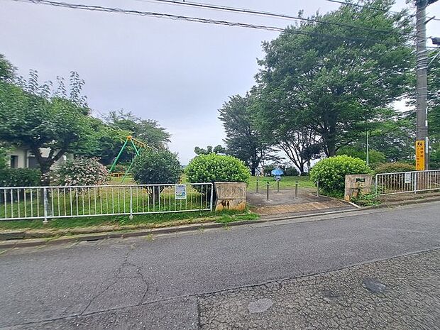 ふじみ公園(5m)