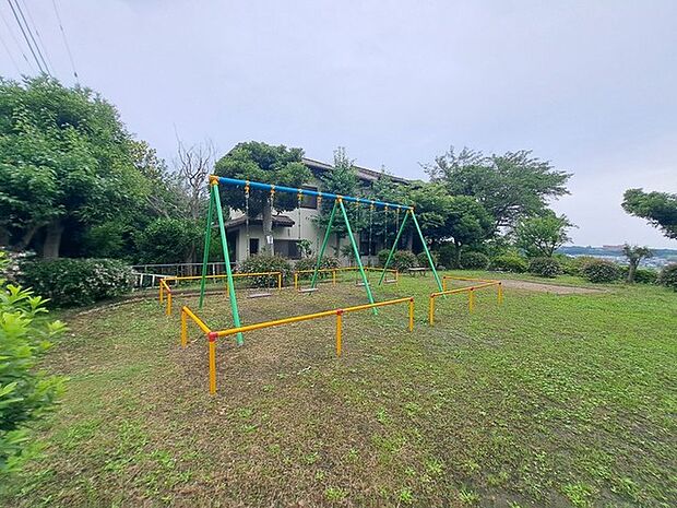 ふじみ公園(5m)