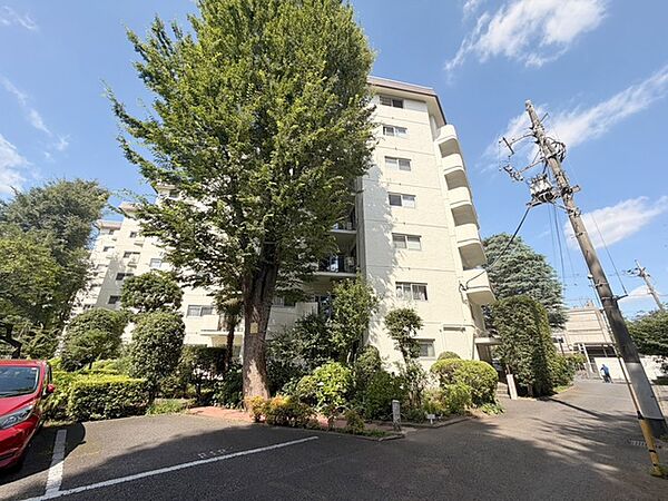 背の高い樹木が季節の移ろいを感じさせる、緑豊かで落ち着きのある住環境が広がっています。