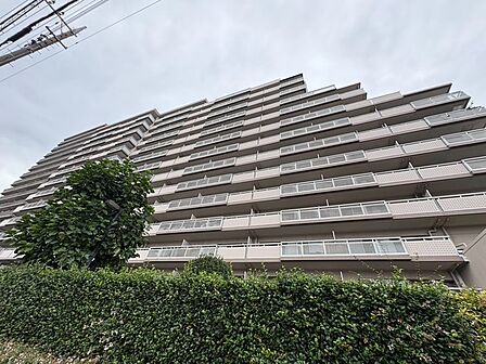 実際に室内をご見学頂くと生活のイメージが広がります。家具を置いたイメージや窓からの景色など、現地で体感ください。
