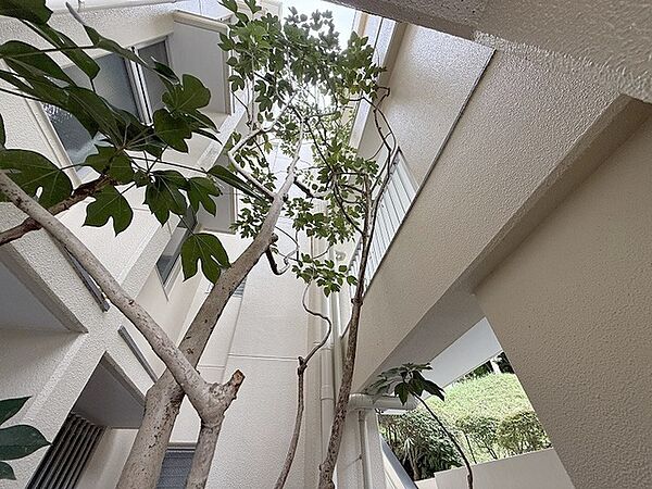 見上げる空へと伸びる樹木が、建物全体に開放感と穏やかな表情を与えています。