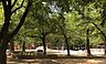 周辺：平野白鷺公園まで1363m