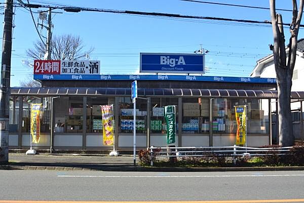 ビッグ・エー 鶴ヶ島松ケ丘店まで969m