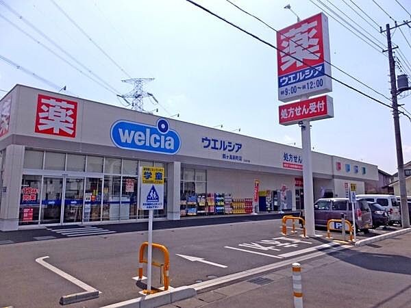 ウエルシア鶴ヶ島新町店まで2500m