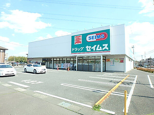 ドラッグセイムス鶴ヶ島一本松店まで1522m