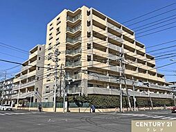 コンフォート若葉ポルカ