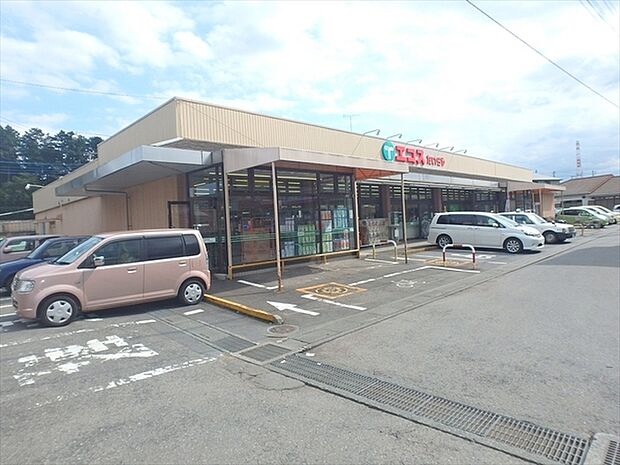 エコス高萩店まで1300m