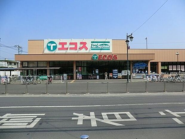 エコスTAIRAYA川越霞ヶ関店まで1183m