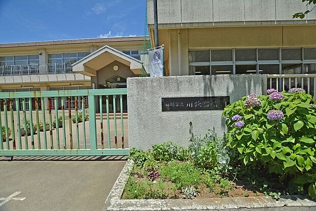 川鶴保育園まで447m