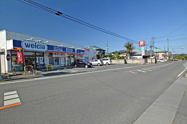 ウエルシア毛呂本郷店まで1300m