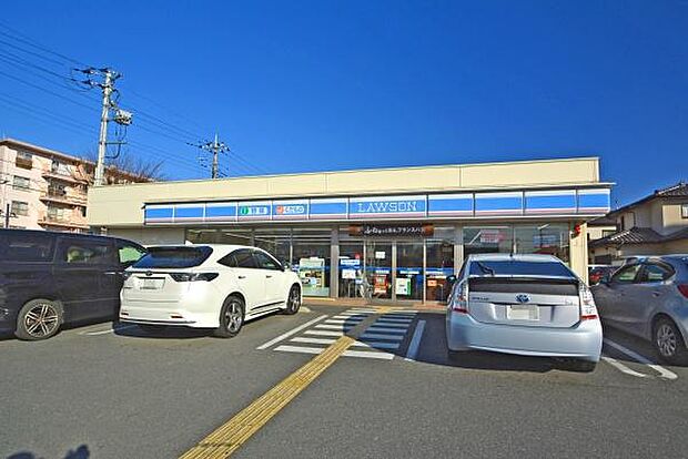 ローソン 坂戸溝端町店まで244m