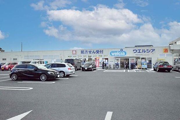 ウエルシア川越新宿店まで723m