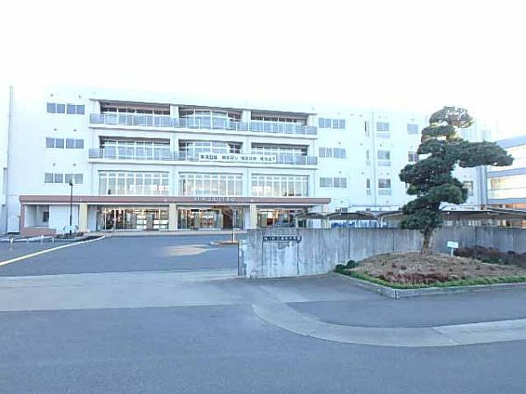 Image 25