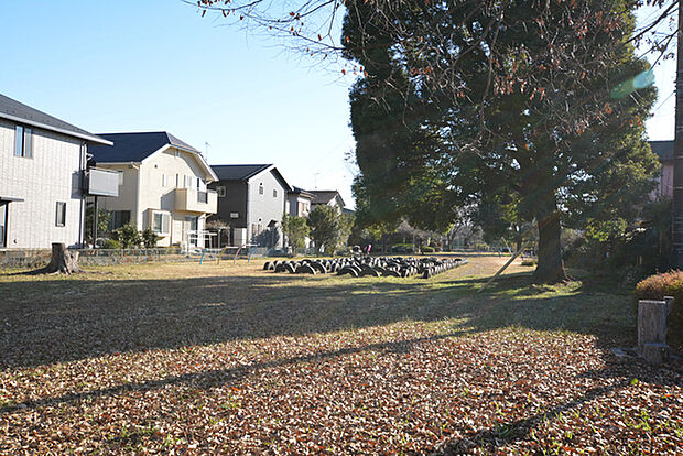 タイヤ公園まで1000m